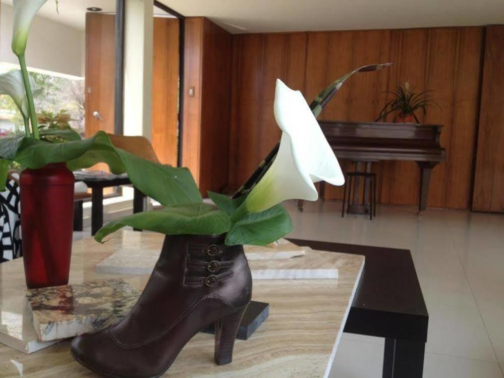 Apartament Casa Roa (Adults Only) Meksyk Zewnętrze zdjęcie